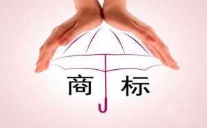 注冊(cè)商標(biāo)申請(qǐng)哪些情況下不予受理