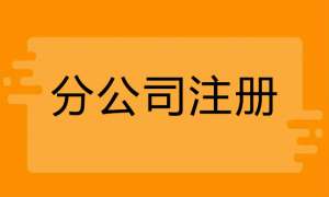 無為注冊(cè)分公司需要什么手續(xù)有哪些流程