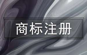 在蕪湖商標(biāo)注冊(cè)申請(qǐng)需要繳納哪些費(fèi)用?