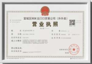 蕪湖電商執(zhí)照注冊要求：網(wǎng)絡(luò)地址能用嗎？